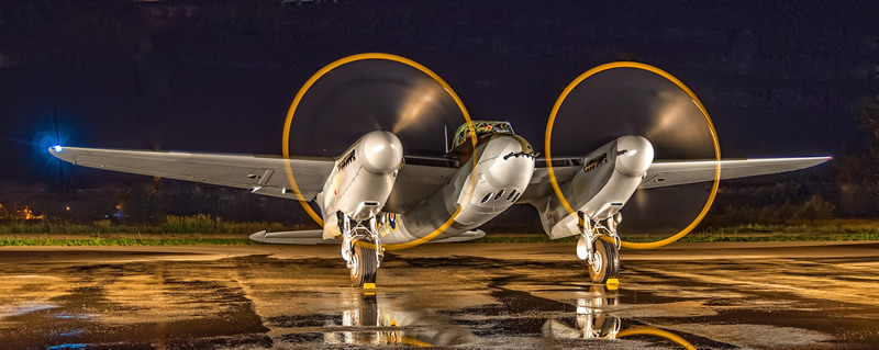 Mosquito by Steve Tugwell